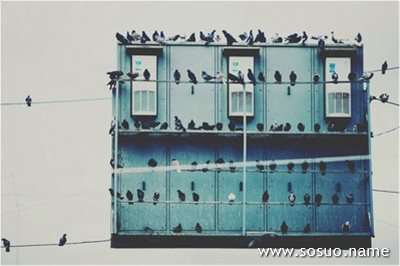 �μ��Լ�ϲ����Ů�����ҷ�Ƣ��,�����μ��Լ�ϲ����Ů�����ҷ�Ƣ��