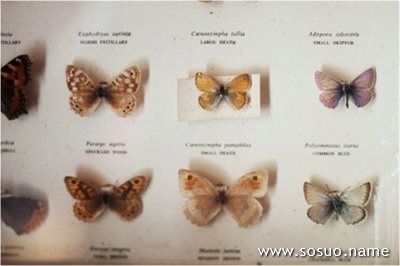 �μ�ϴ����,�����μ�ϴ����