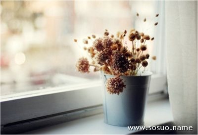 �μ��ڰٻ���˾���������,�����μ��ڰٻ���˾���������