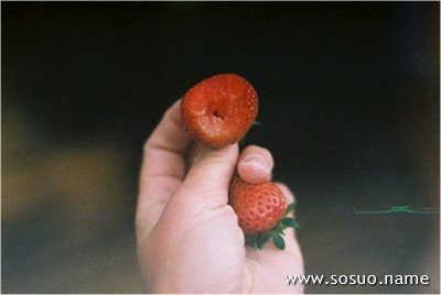 �μ�������,�����μ�������
