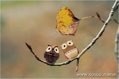�μ���Ӿ�ر����ò˵������ٳ�,�����μ���Ӿ�ر����ò˵������ٳ�