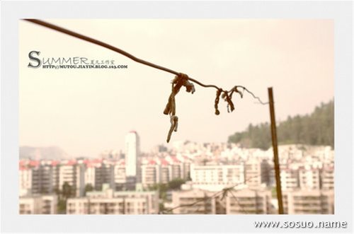 �μ�һ�������ڸ첲�ϻ�֮��ȥ,�����μ�һ�������ڸ첲�ϻ�֮��ȥ
