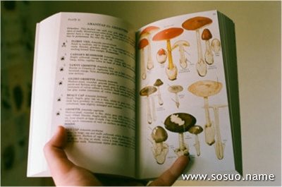 �μ����ӱ���׶����,�����μ����ӱ���׶����