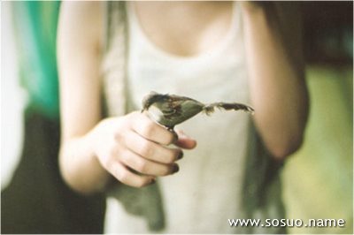 �μ��͵���������,�����μ��͵���������