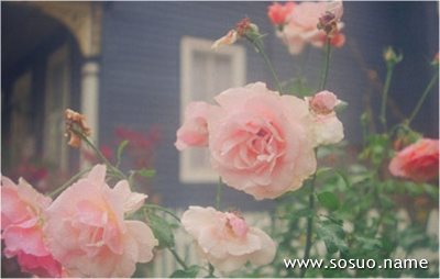 �μ�ĸ������,�����μ�ĸ������
