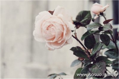 �μ��Լ����׳ɹ�,�����μ��Լ����׳ɹ�