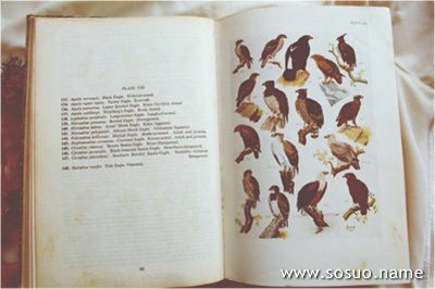 �μ����˻�������,�����μ����˻�������