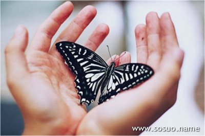 �μ��Լ��Ĺ����Լ�������,�����μ��Լ��Ĺ����Լ�������