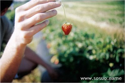 �μ��ڼҵ���,�����μ��ڼҵ���