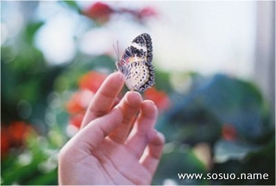 �μ���˽,�����μ���˽