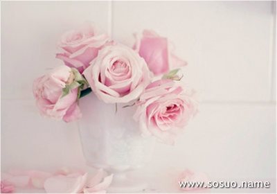 �μ������ˮ��ˮ��,�����μ������ˮ��ˮ��