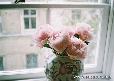 �μ���������׹,�����μ���������׹