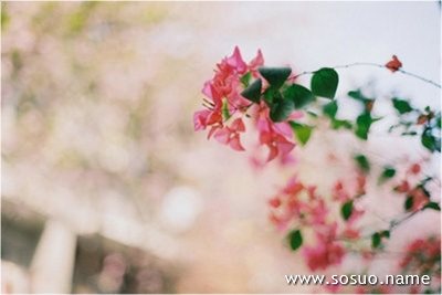 �μ��������Ź�,�����μ��������Ź�