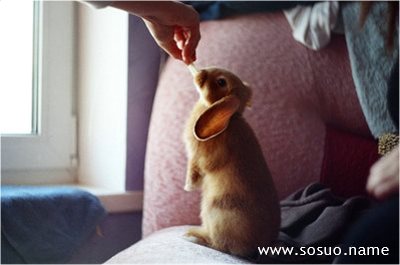 �μ��Լ�ϴ��һ��,�����μ��Լ�ϴ��һ��