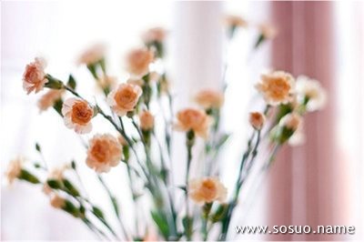�μ�͵��Ů��ȹ��,�����μ�͵��Ů��ȹ��