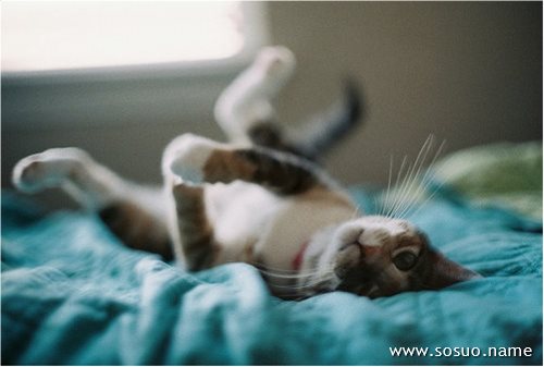 �μ������Ƴ�û��,�����μ������Ƴ�û��