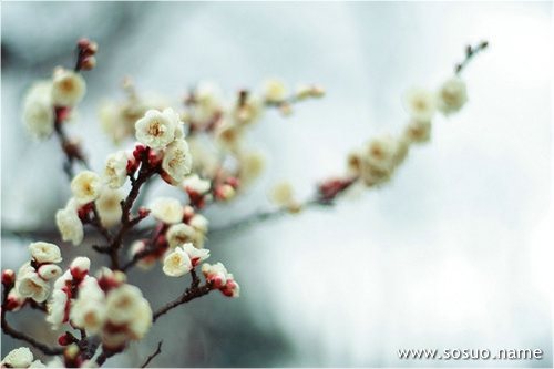 �μ�������Ա��,�����μ�������Ա��
