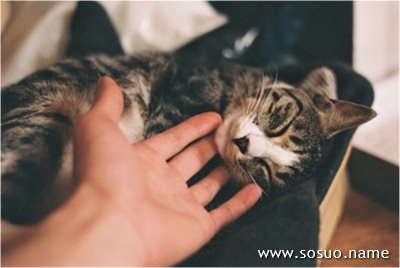 �μ������ĸ����ҿ��ü�,�����μ������ĸ����ҿ��ü�
