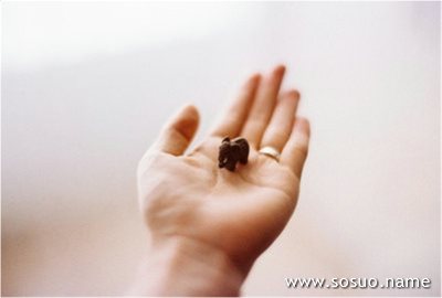 �μ���ţ׷����,�����μ���ţ׷����