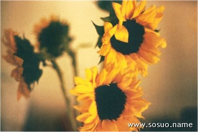 �μ����Ŵ��,�����μ����Ŵ��