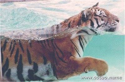 �μ��Ҿ���ȫ������������,�����μ��Ҿ���ȫ������������