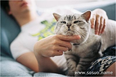 �μ���İ���˷����Թ�ϵ,�����μ���İ���˷����Թ�ϵ