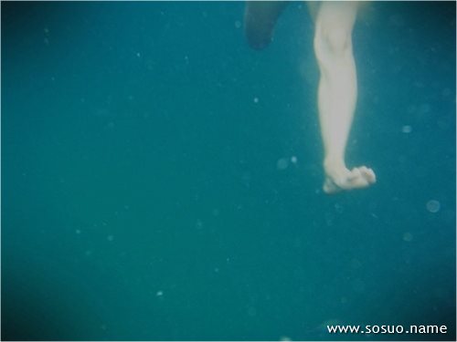 �μ���ľ��,�����μ���ľ��