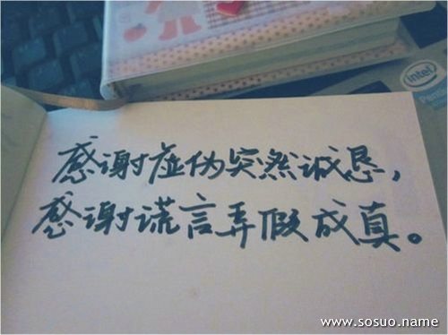 �μ��̲�ζ��,�����μ��̲�ζ��
