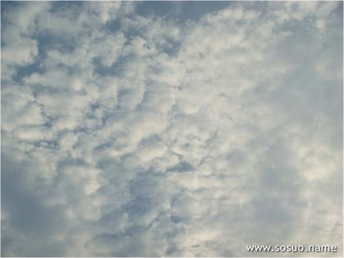 �μ����ŵ�ϱ����ϱ������,�����μ����ŵ�ϱ����ϱ������