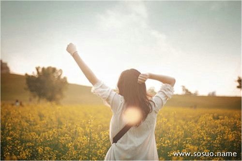 �μ��ڸߴ�,�����μ��ڸߴ�
