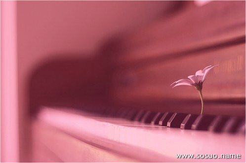 �μ����ǻ�,�����μ����ǻ�
