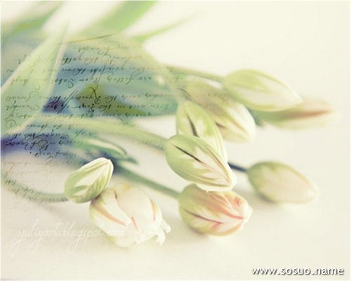 �μ�����շ��ӻ��д�ѩ,�����μ�����շ��ӻ��д�ѩ