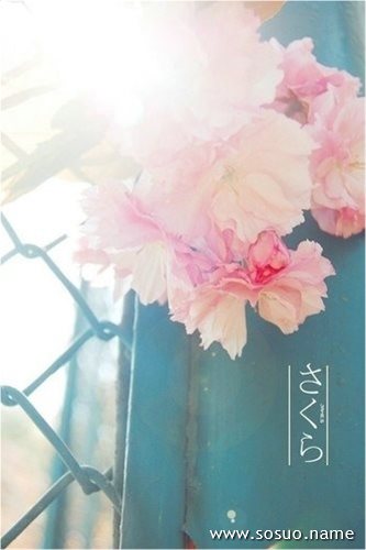 �μ��Ӵ�,�����μ��Ӵ�