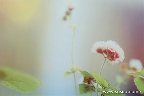 �μ��ѻ�Ů������ָ��,�����μ��ѻ�Ů������ָ��