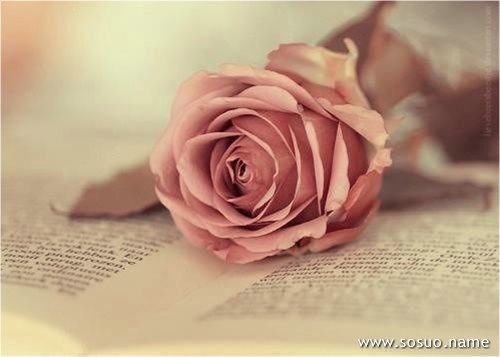 �μ����׷�,�����μ����׷�