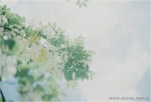 �μ��Լ������w,�����μ��Լ������w