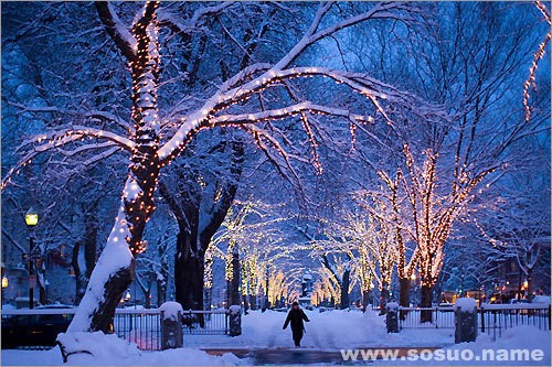 �μ����Լ���ͷ��,�����μ����Լ���ͷ��