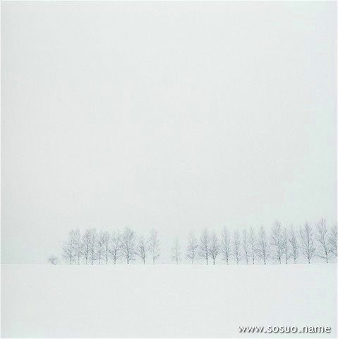 �μ���֦���,�����μ���֦���