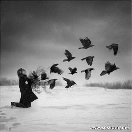 �μ��ܶ���ͬ��,�����μ��ܶ���ͬ��