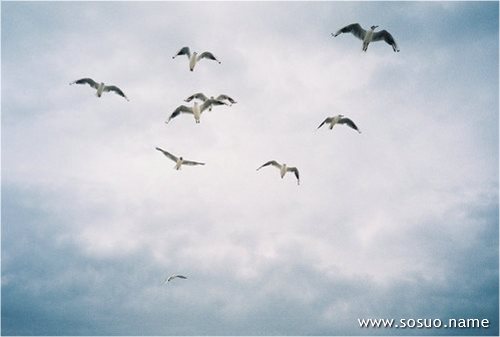 �μ������ˮ��������Ȧ������,�����μ������ˮ��������Ȧ������