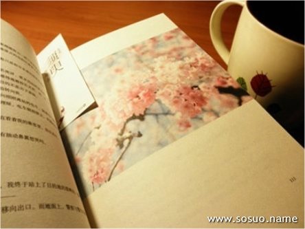 �μ�Ů�����ϼ��쵼���,�����μ�Ů�����ϼ��쵼���