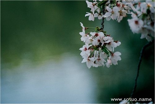�μ��Լ��ѹ�����,�����μ��Լ��ѹ�����