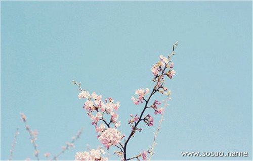 �μ������ɽ,�����μ������ɽ