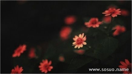 �μ��������׿���,�����μ��������׿���