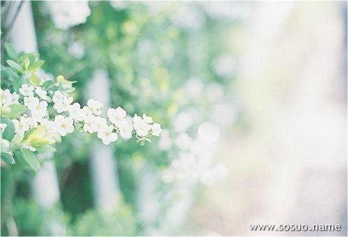 �μ����۳���ζ,�����μ����۳���ζ