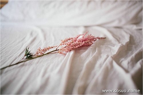 �μ���ױ��,�����μ���ױ��
