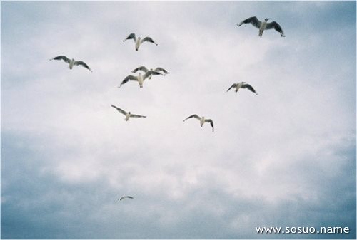 �μ�����ʬ,�����μ�����ʬ