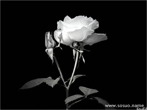 �μ��ϻ�ҧ��,�����μ��ϻ�ҧ��