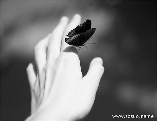 �μ��ڸ��˺�����,�����μ��ڸ��˺�����