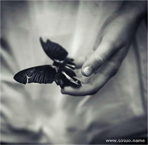 �μ�ը�Ӽ�,�����μ�ը�Ӽ�